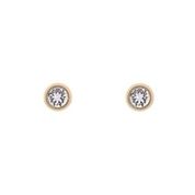 Ted Baker Gold Plated Sinaa Crystal Stud Earrings