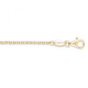 Engelsrufer Angel Whisperer Gold Plated 80cm Belcher Chain for Pendants (ERN-80-G)