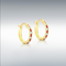 Nine Carat Yellow Gold Red and White Cz Hoops
